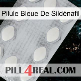 Pilule Bleue De Sildénafil 16